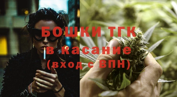 прущие крисы Ельня