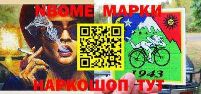 индика Гусев