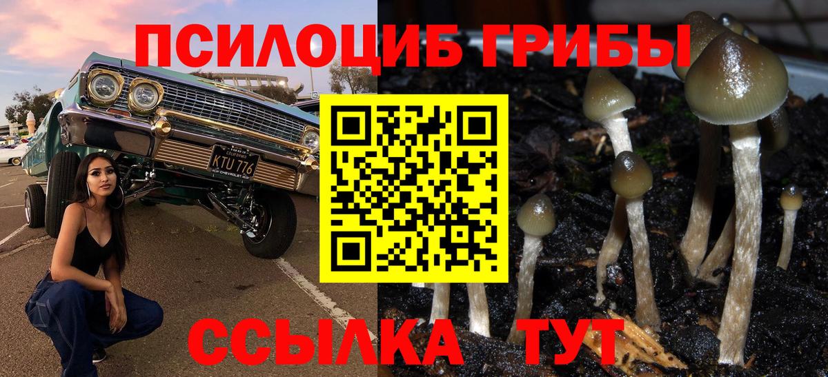 МДМА  Codein  Мефедрон кристаллы  Дмитров  NBOMe  КОКАИН  ГАШИШ  Вход с VPN 