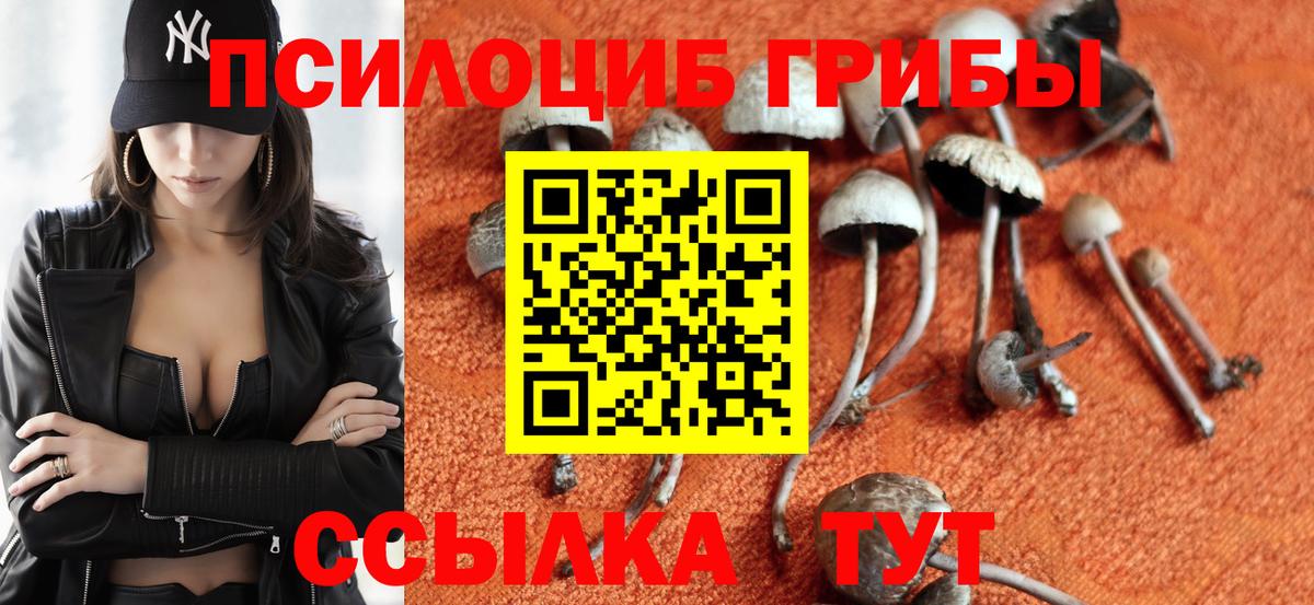 Дмитров  Галлюциногенные грибы Psilocybine cubensis  Вход с VPN  Галлюциногенные грибы Magic Shrooms 